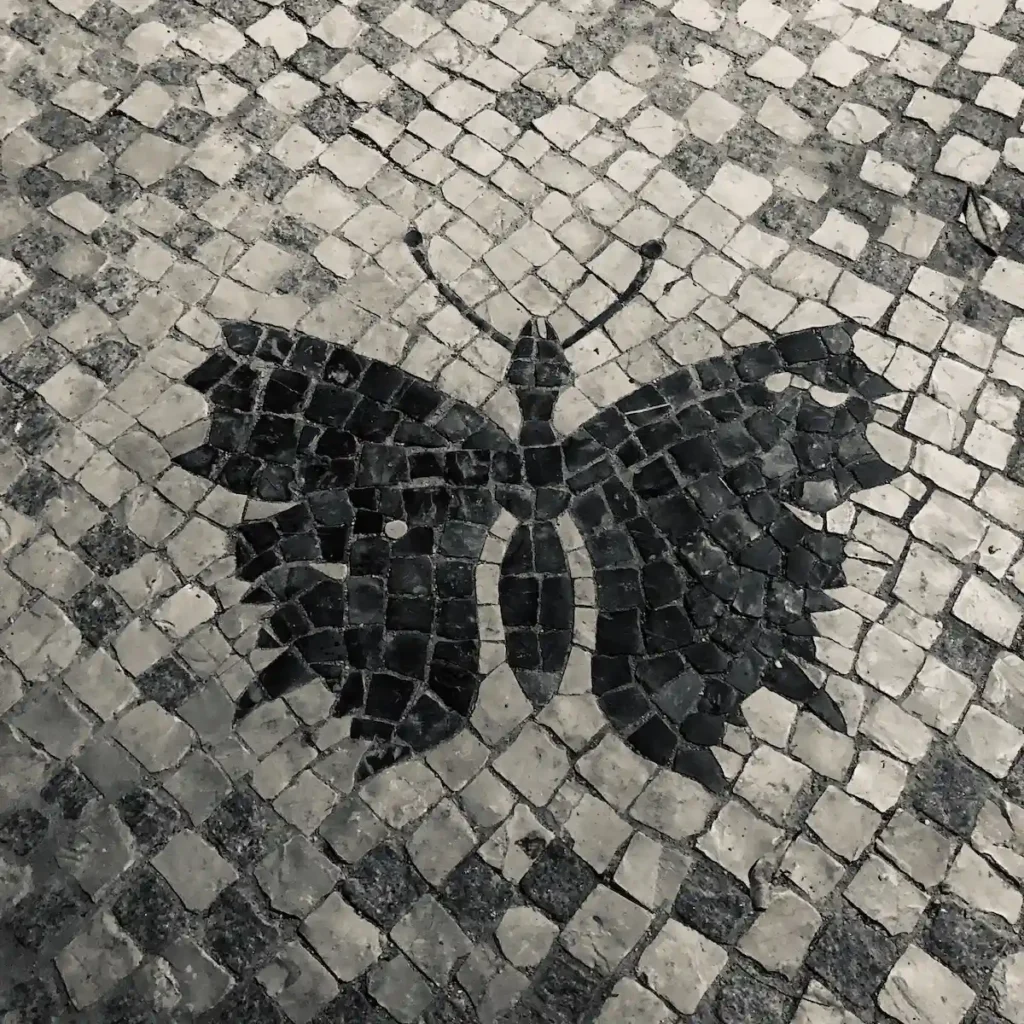 papillon dans la calçada portuguesa