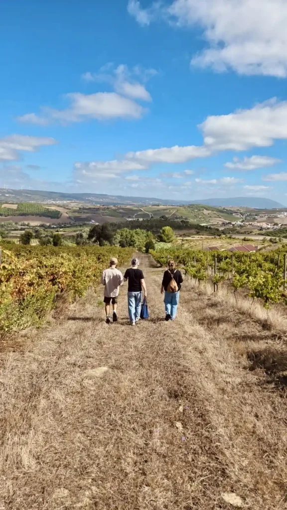 Promenade dans les vignes de la Quinta da Folgorosa